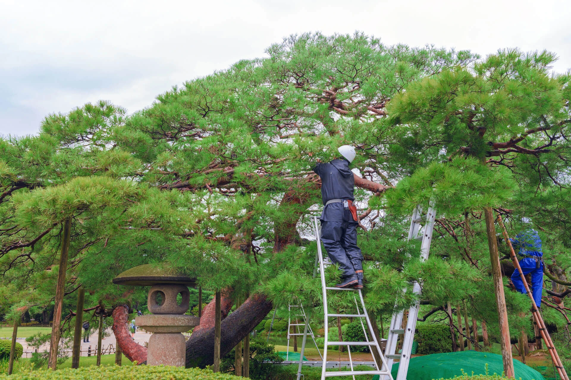 代行業